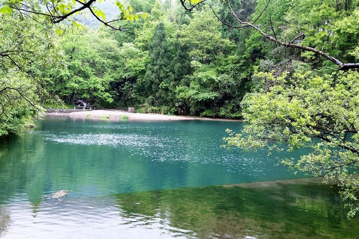 吸氧圣地——天目山