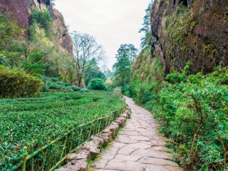 現(xiàn)在到廈門鼓浪嶼旅游多少錢_去廈門鼓浪嶼旅游_去廈門鼓浪嶼旅游多少錢