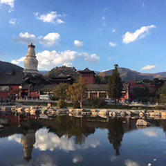 景点模块 