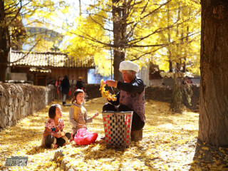 腾冲包团游_到腾冲旅游团_到腾冲旅游旅行团