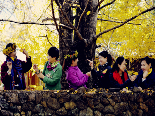 腾冲包团游_到腾冲旅游团_到腾冲旅游旅行团