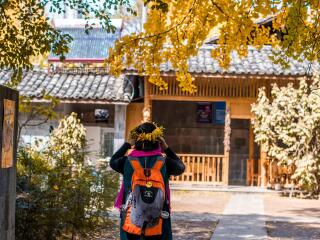 腾冲包团游_到腾冲旅游团_到腾冲旅游旅行团