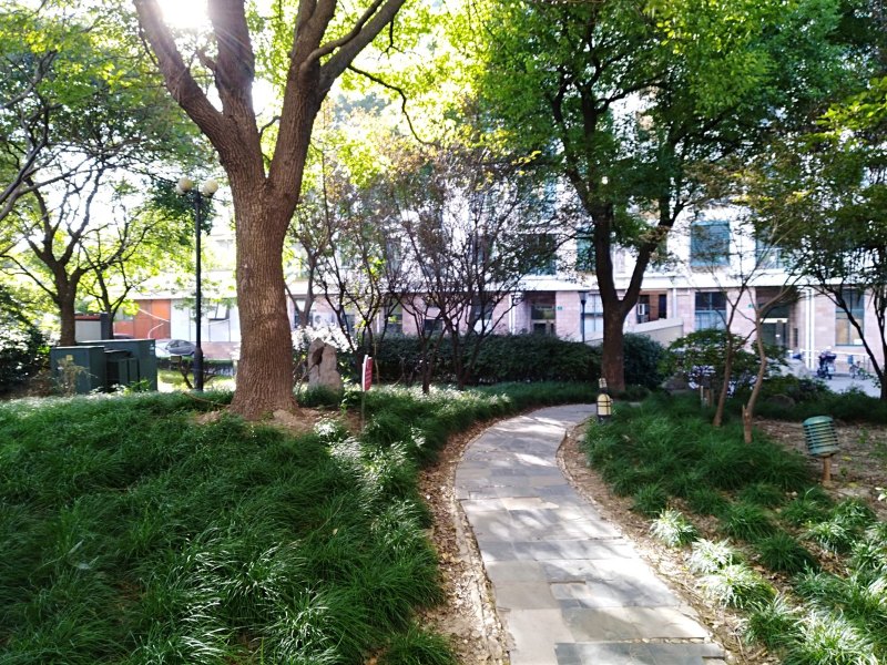 上海复旦小高层公寓