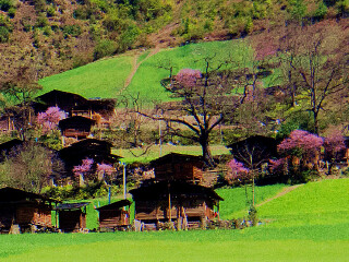 腾冲包团游_到腾冲旅游团_到腾冲旅游旅行团
