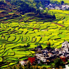 景点模块 