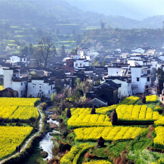 景点模块 