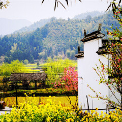 景点模块 