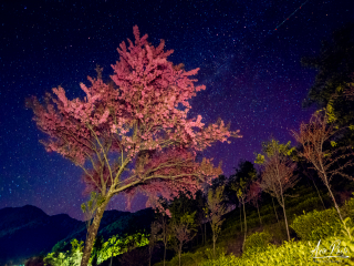 腾冲包团游_到腾冲旅游团_到腾冲旅游旅行团