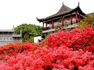 江西廬山報團(tuán)多少錢_去江西廬山游怎么省錢_江西廬山游組團(tuán)
