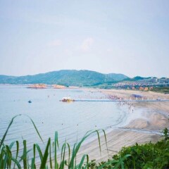 活动模块 