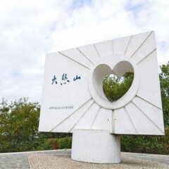活动模块 