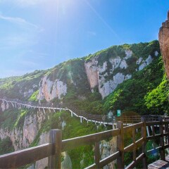 活动模块 