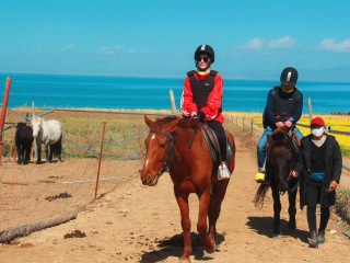 青海旅游大約多少錢_深圳特價(jià)青海游_青海私人定制旅游