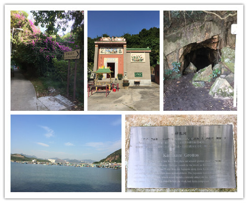 带着宝宝看世界之六-香港自由行