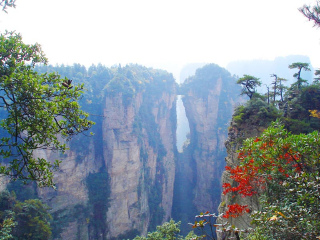 湖南張家界游跟團(tuán)多少錢_深圳到湖南張家界旅游報(bào)價(jià)_湖南張家界旅游最佳路線