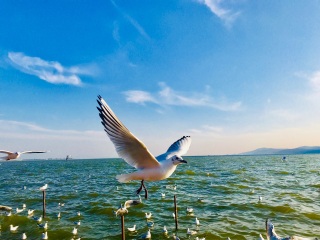 旅游去泸沽湖报价_深圳包团泸沽湖旅游价格_暑假泸沽湖游价格