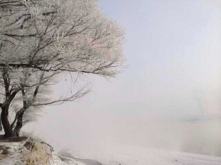 深圳哈尔滨旅游_春节哈尔滨游_哈尔滨旅游好的团