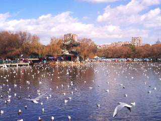 云南麗江游組團(tuán)_云南麗江組團(tuán)旅游_云南麗江旅游價(jià)格多少