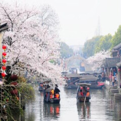 景点模块 