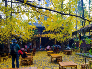 云南大理麗江旅游最佳路線_現(xiàn)在去云南大理麗江旅游多少錢_云南大理麗江旅游路線