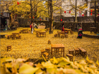 云南大理麗江旅游最佳路線_現(xiàn)在去云南大理麗江旅游多少錢_云南大理麗江旅游路線