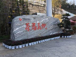 西双版纳报团旅游价格_西双版纳半自助游_西双版纳旅游几月份最便宜
