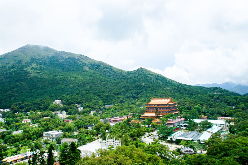 大佛面对着的就是宝莲禅寺了,站在高处观望,禅寺坐落在重山