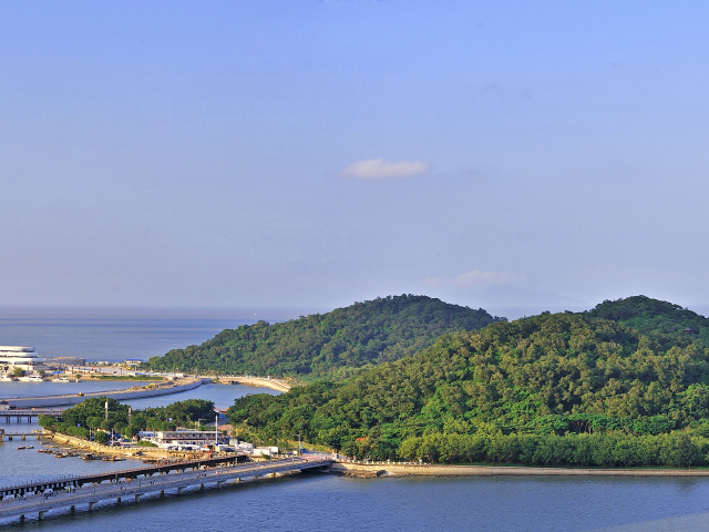 野狸岛