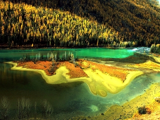新疆自由行旅游團(tuán)_新疆旅游多少錢_跟團(tuán)新疆旅游價(jià)格表