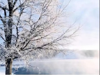 東北長白山旅行團(tuán)旅游報(bào)價(jià)_特價(jià)東北長白山游_去東北長白山靠譜的旅行團(tuán)