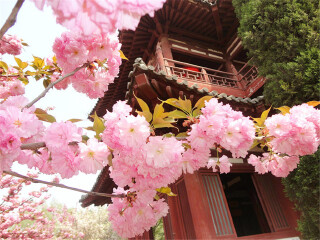 到華山旅游多少錢_華山游跟團(tuán)多少錢_去華山報(bào)團(tuán)多少錢