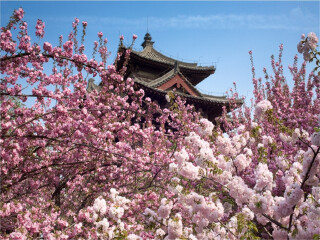 到華山旅游多少錢_華山游跟團(tuán)多少錢_去華山報(bào)團(tuán)多少錢