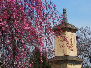 到華山旅游多少錢_華山游跟團(tuán)多少錢_去華山報(bào)團(tuán)多少錢