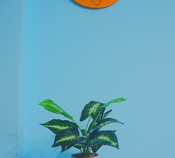 hotelPic