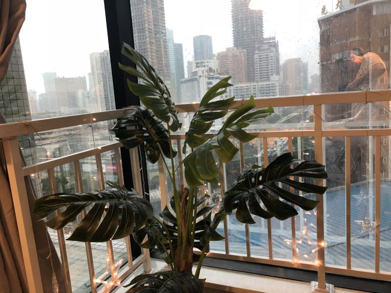 hotelPic