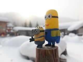 哈尔滨半自助游_参团哈尔滨旅游_去哈尔滨旅游线路
