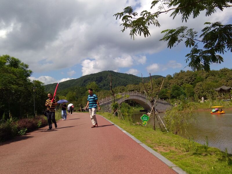 逛逛如意湖湿地公园