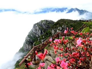 江西廬山游 旅行團(tuán)_江西廬山旅游多少錢_去江西廬山旅游多少錢