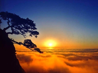 江西廬山游 旅行團(tuán)_江西廬山旅游多少錢_去江西廬山旅游多少錢