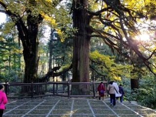 江西廬山游 旅行團(tuán)_江西廬山旅游多少錢_去江西廬山旅游多少錢