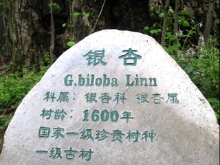 江西廬山游 旅行團(tuán)_江西廬山旅游多少錢_去江西廬山旅游多少錢