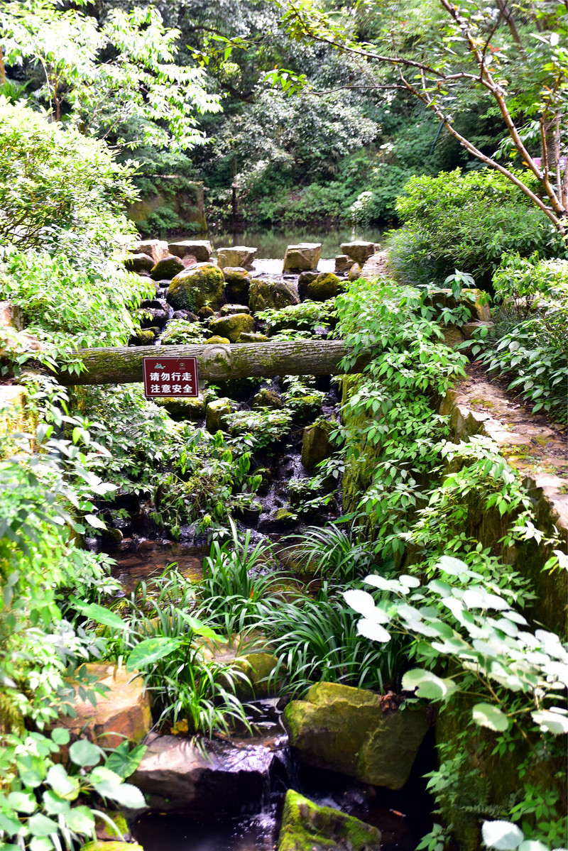 景区地址: 湖南省长沙市岳麓区岳麓山清风峡