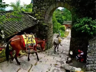 南宁-德天旅游最新_到南宁-德天六日旅游_南宁-德天旅游小团
