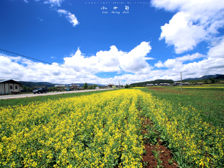 香格里拉旅游苏梅岛_旅行团香格里拉游_香格里拉旅游签证