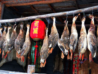 亞布力雪鄉(xiāng)旅行跟團_跟團亞布力雪鄉(xiāng)旅游價格表_去亞布力雪鄉(xiāng)旅游怎么走