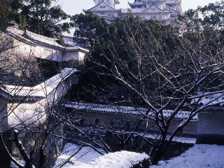 日本七日跟团游_日本最新旅游_去日本旅游参团