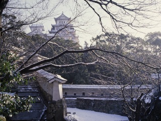 日本七日跟团游_日本最新旅游_去日本旅游参团
