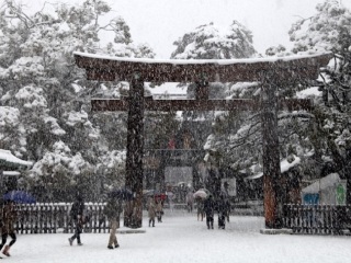 日本七日跟团游_日本最新旅游_去日本旅游参团