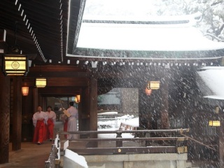 日本七日跟团游_日本最新旅游_去日本旅游参团