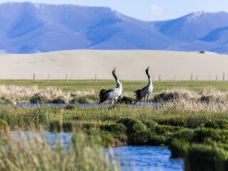 青海湖游跟團(tuán)多少錢2021_青海湖旅游要多少錢跟團(tuán)_去青海湖旅游